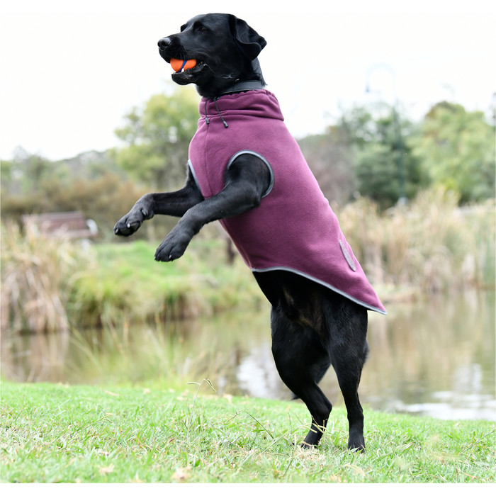2022 Weatherbeeta Comfitec Fleece Zip Dog Coat 1003457 - Maroon / Grey